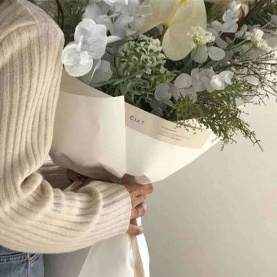 光子特工游戏